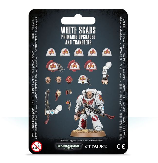 Dotazioni e trasferibili dei White Scars Primaris