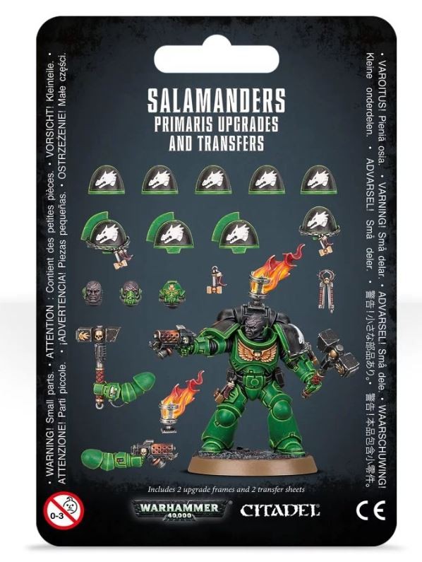 Dotazioni e trasferibili dei Salamanders Primaris