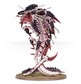 Tiranide Trigone/Mawloc